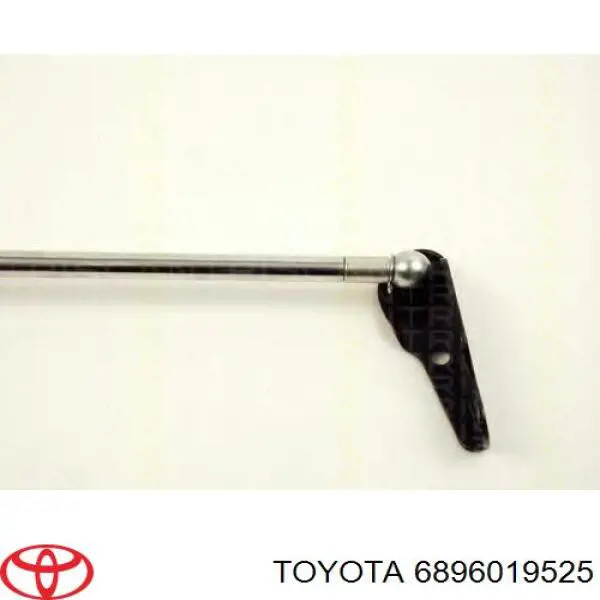 6896019525 Toyota Amortecedor de tampa de porta-malas (de 3ª/5ª porta traseira)