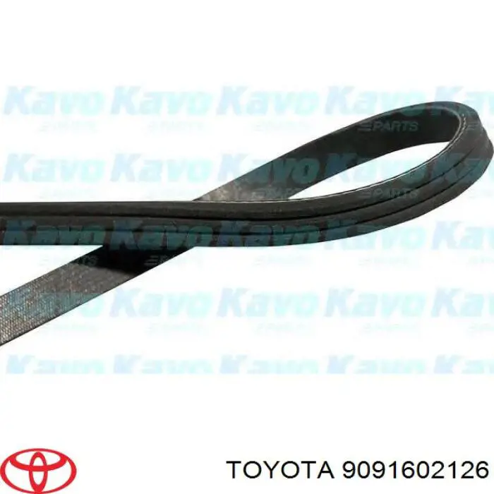 Correia dos conjuntos de transmissão 9091602126 Toyota