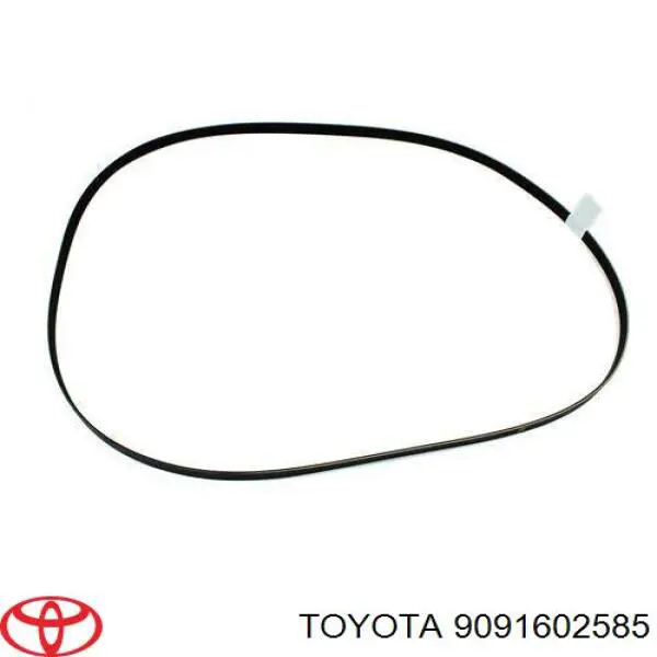 Correia dos conjuntos de transmissão Toyota 9091602585 preço, a partir de 59,46 USD