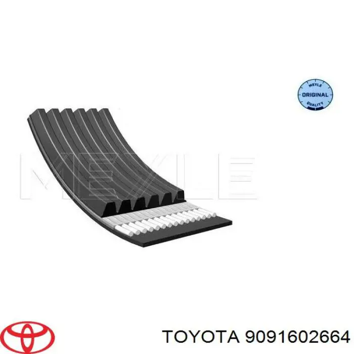 Correia dos conjuntos de transmissão Toyota 9091602664 preço, a partir de 11,73 USD