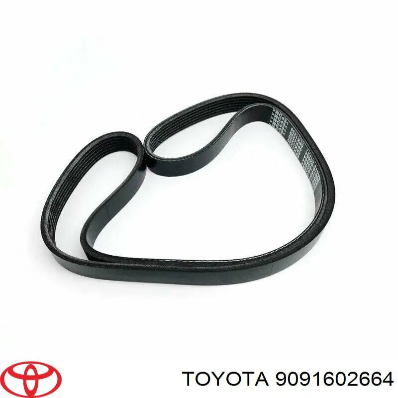 Correia dos conjuntos de transmissão Toyota 9091602664 preço, a partir de 16,95 USD