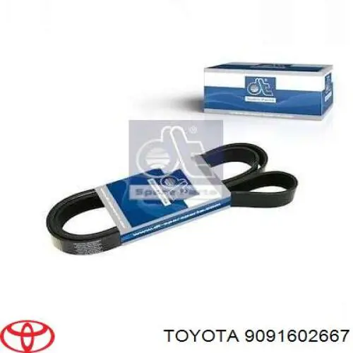 Correia dos conjuntos de transmissão Toyota 9091602667 preço, a partir de 23,49 USD