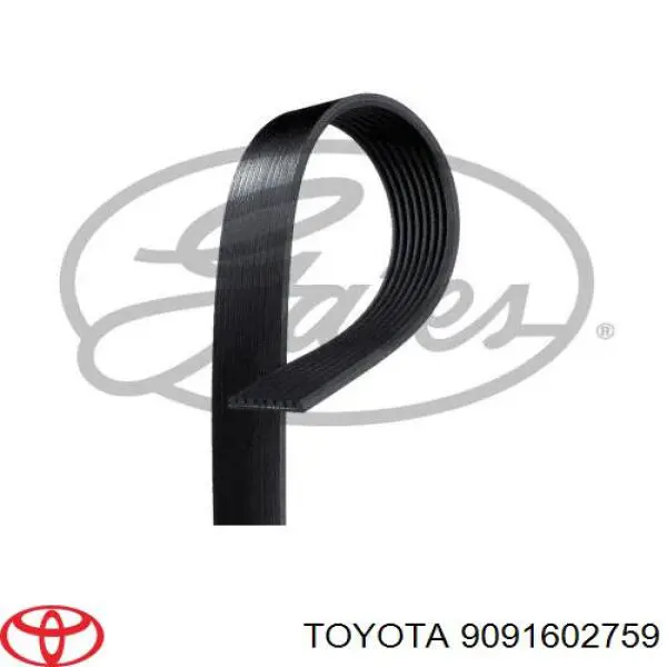 Correia dos conjuntos de transmissão Toyota 9091602759 preço, a partir de 72,96 USD