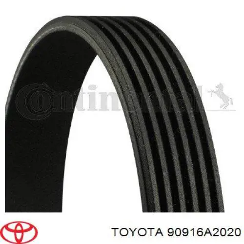 Correia dos conjuntos de transmissão 90916A2020 Toyota
