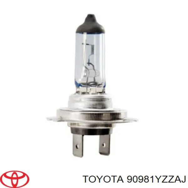 90981YZZAJ Toyota Lâmpada halógena