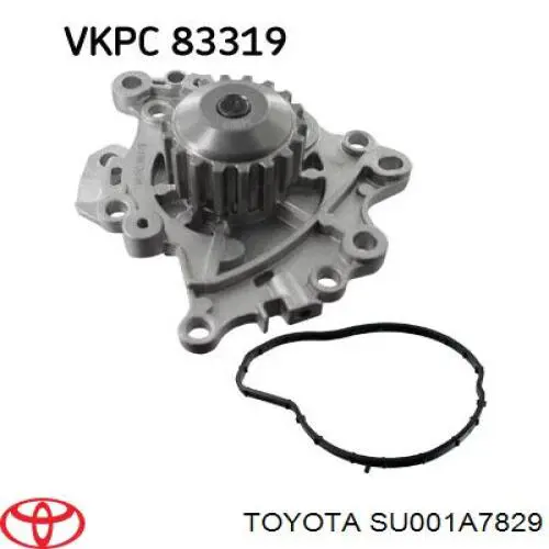 9836834880 Peugeot/Citroen Bomba de água (bomba) de esfriamento