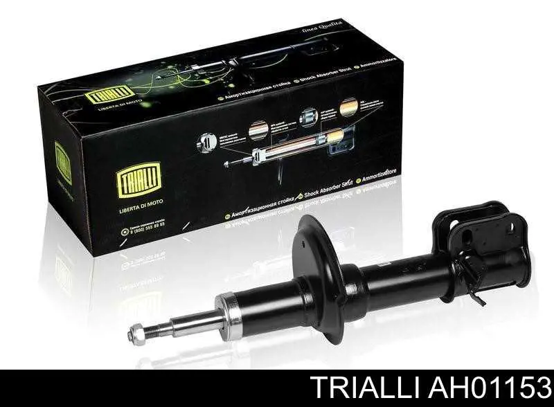 RS312584 Raiso Amortecedor dianteiro esquerdo