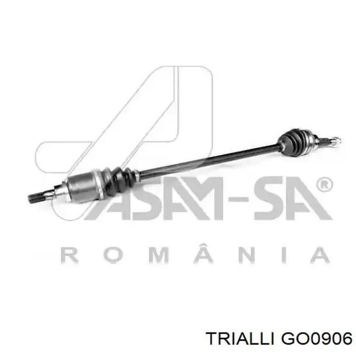 857203 GSP Junta homocinética externa traseira