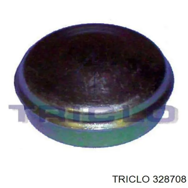 0007688978 Fiat/Alfa/Lancia Coberta de disco de roda
