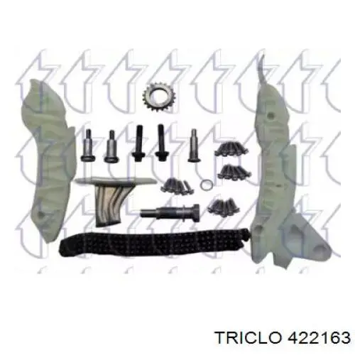 Compre 422163 Triclo Cadeia do mecanismo de distribuição de gás, kit