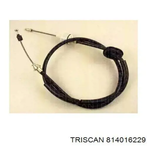 Compre 814016229 Triscan Cabo de embraiagem