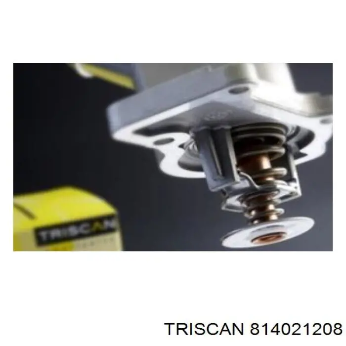 Compre 814021208 Triscan Cabo de embraiagem
