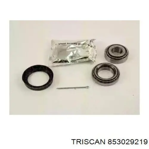 Rolamento de cubo traseiro SH15450 Shafer