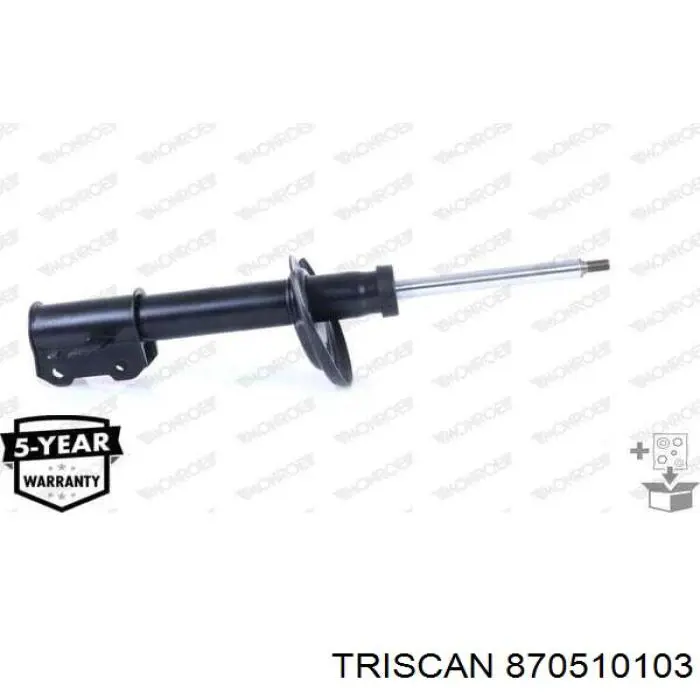 Compre RS312601 Raiso Amortecedor dianteiro esquerdo