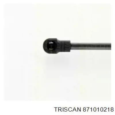 1607549480 Peugeot/Citroen Amortecedor de tampa de porta-malas (de 3ª/5ª porta traseira)