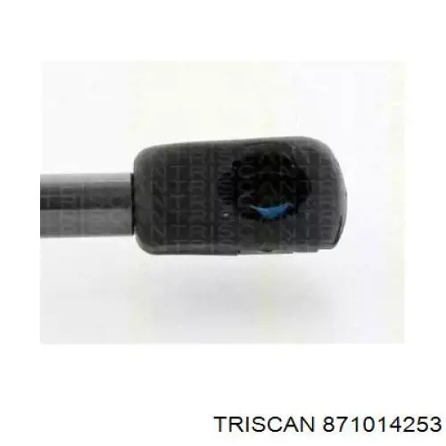 904513HN0A Nissan/Infiniti Amortecedor de tampa de porta-malas (de 3ª/5ª porta traseira)