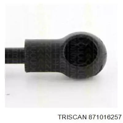 Amortecedor de tampa de porta-malas (de 3ª/5ª porta traseira) Ford 1832239 preço, a partir de 24,31 USD
