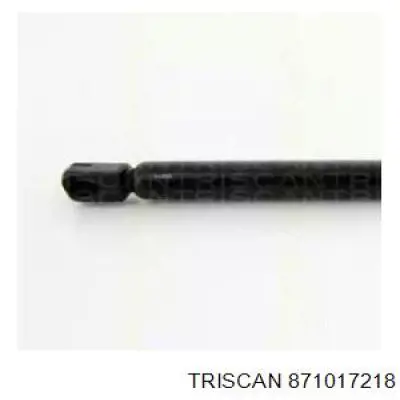 Amortecedor de tampa de porta-malas (de 3ª/5ª porta traseira) 40873 Stabilus
