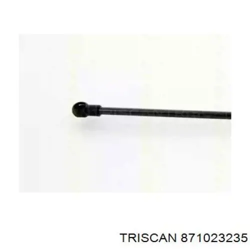 Amortecedor de tampa de porta-malas (de 3ª/5ª porta traseira) 430719097300 Magneti Marelli