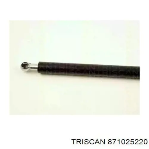 Compre 871025220 Triscan Amortecedor de tampa de porta-malas (de 3ª/5ª porta traseira)