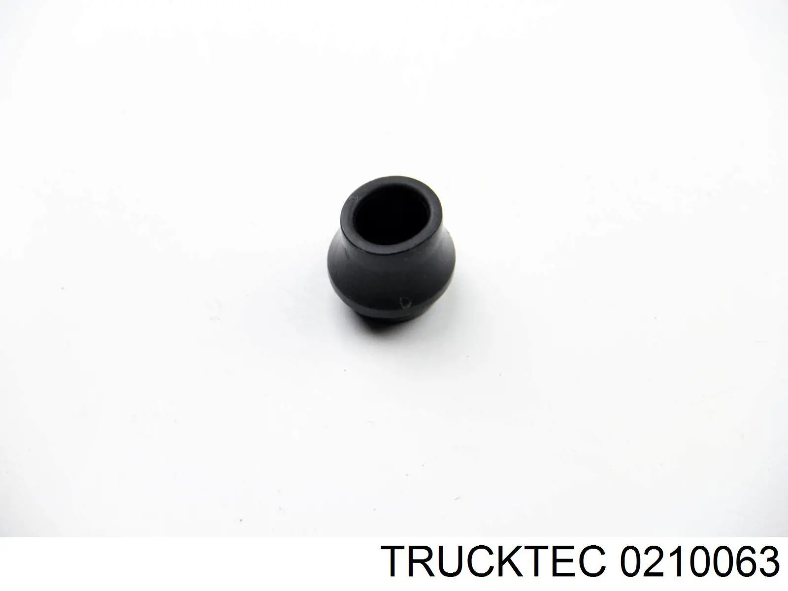 Compre 0210063 Trucktec Cano derivado de ventilação de cárter (de separador de óleo)
