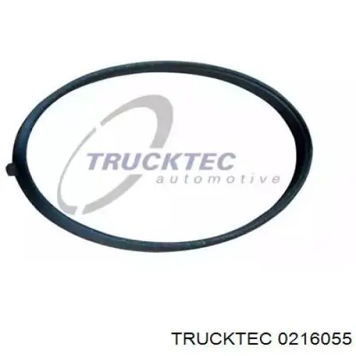 0216055 Trucktec Vedante superior de tubo coletor de admissão