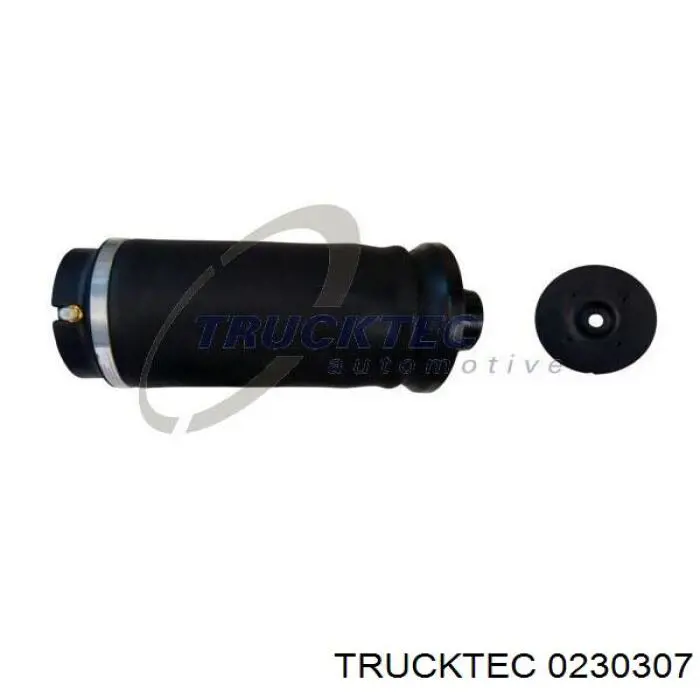 0230307 Trucktec Coxim pneumático (suspensão de lâminas pneumática) do eixo traseiro