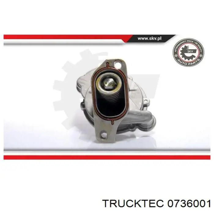 Compre 0736001 Trucktec Bomba a vácuo