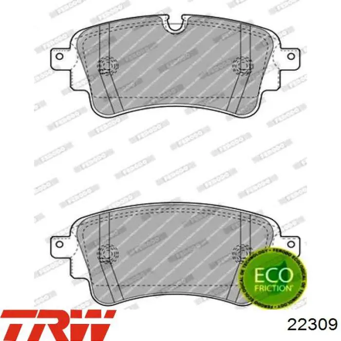 Compre 22309 TRW Válvula de admissão