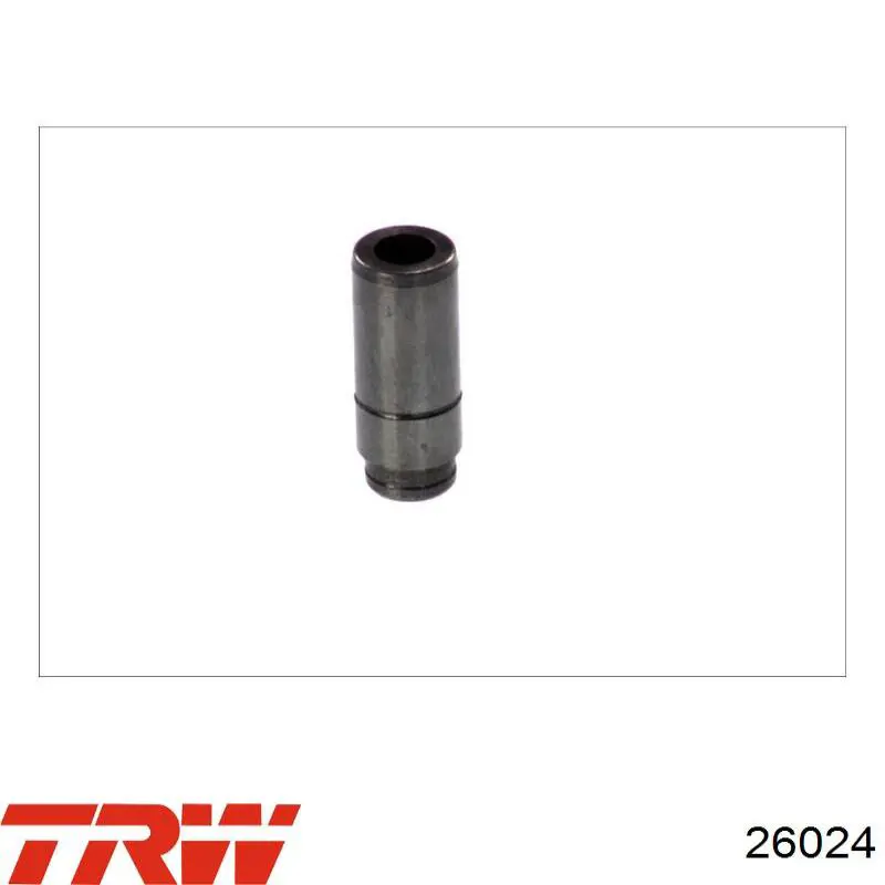 26024 TRW Válvula de admissão