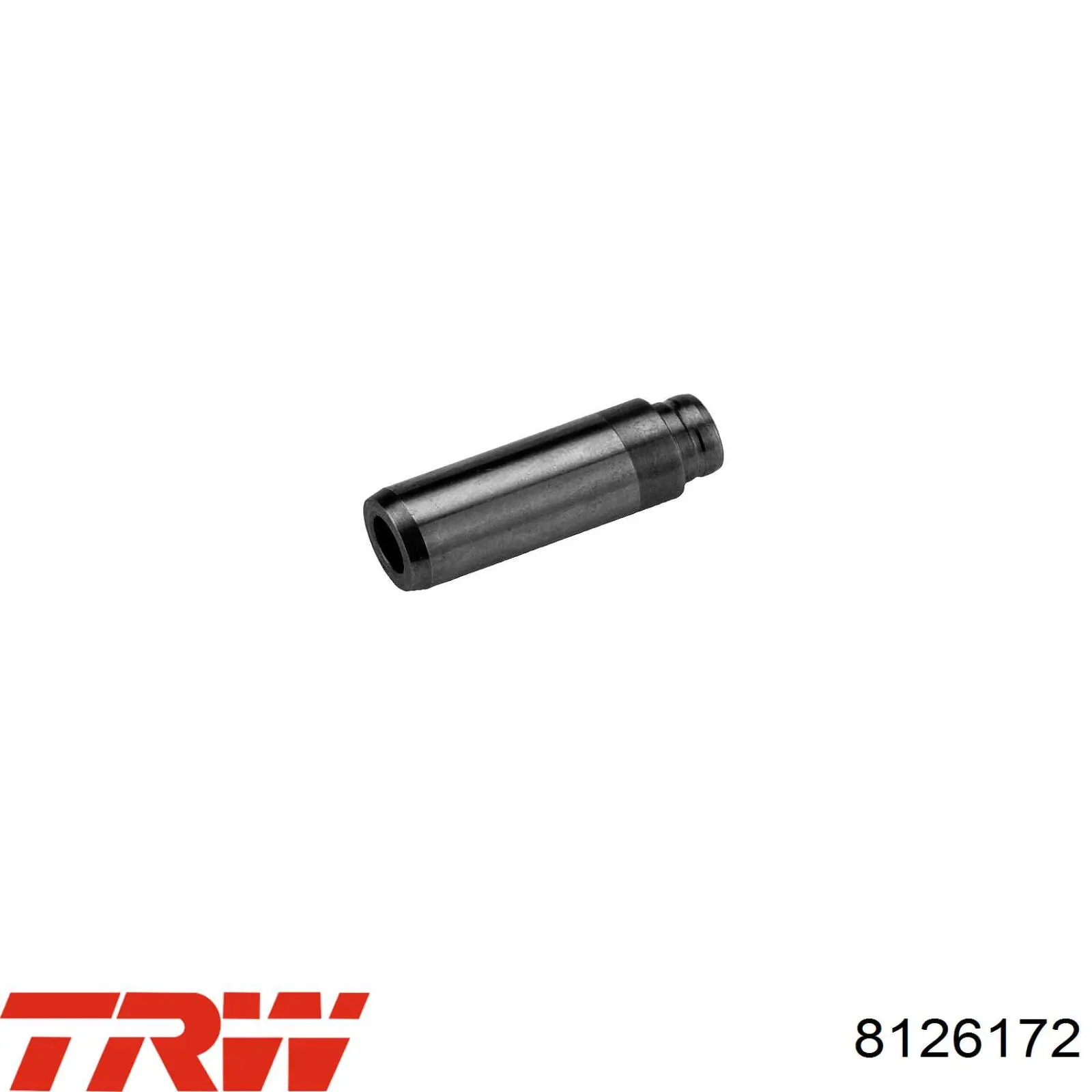 Guia de válvula 8126172 TRW