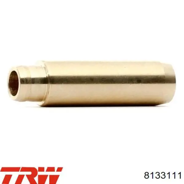 8133111 TRW Guia de válvula