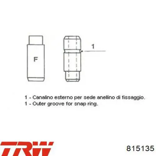 Guia de válvula de admissão TRW 815135 preço, a partir de 4,94 USD