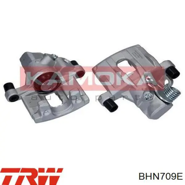 Compre BHN709E TRW Suporte do freio traseiro esquerdo