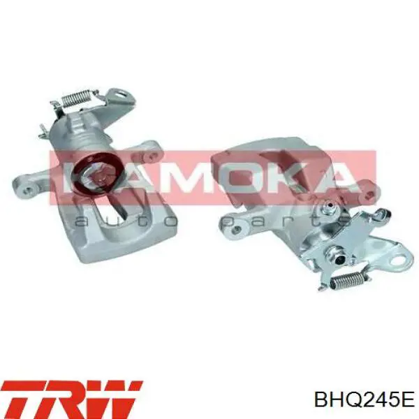 Compre BHQ245E TRW Suporte do freio traseiro esquerdo
