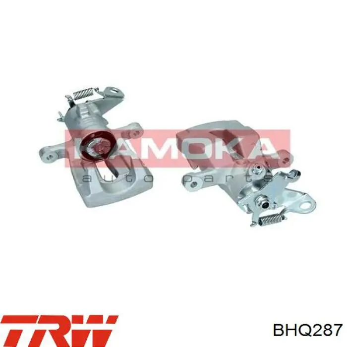 Compre BHQ287 TRW Suporte do freio traseiro esquerdo