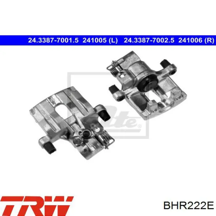 Compre BHR222E TRW Suporte do freio traseiro esquerdo
