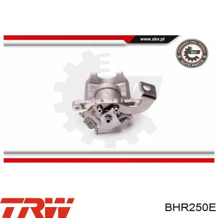 Compre BHR250E TRW Suporte do freio traseiro esquerdo