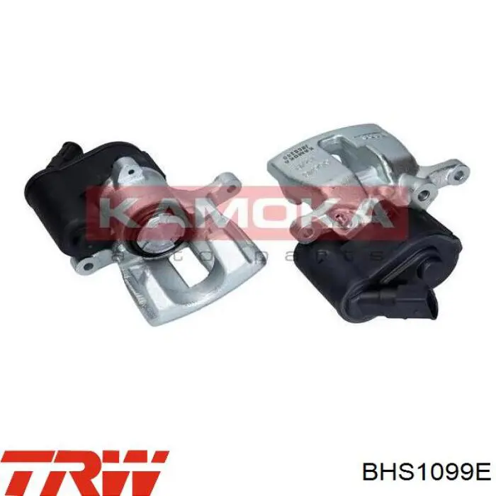 Compre BHS1099E TRW Suporte do freio traseiro direito