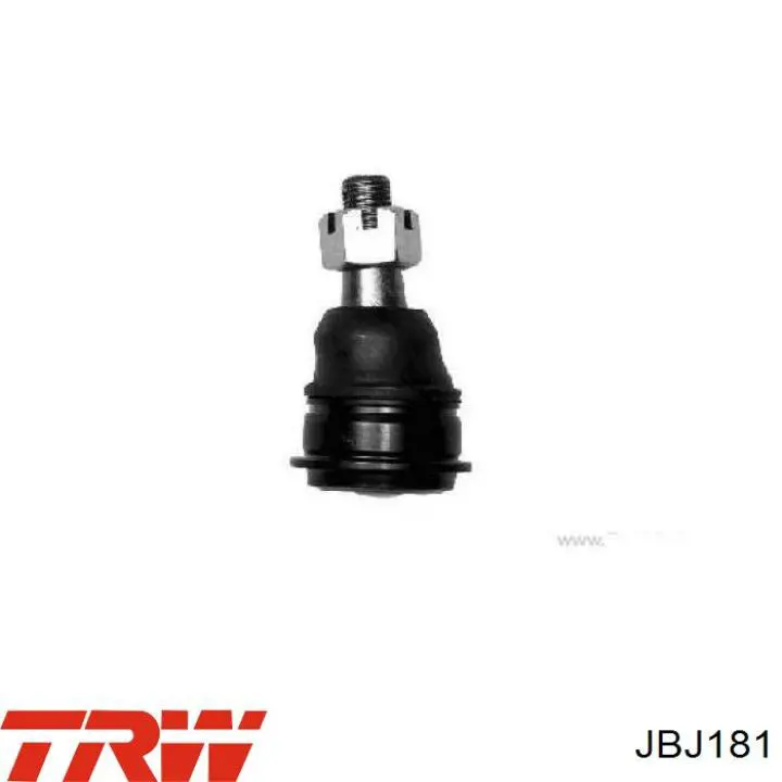 Suporte de esfera inferior TRW JBJ181 preço, a partir de 20,25 USD