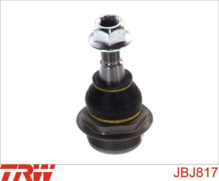 Suporte de esfera inferior esquerdo TRW JBJ817 preço, a partir de 18,49 USD