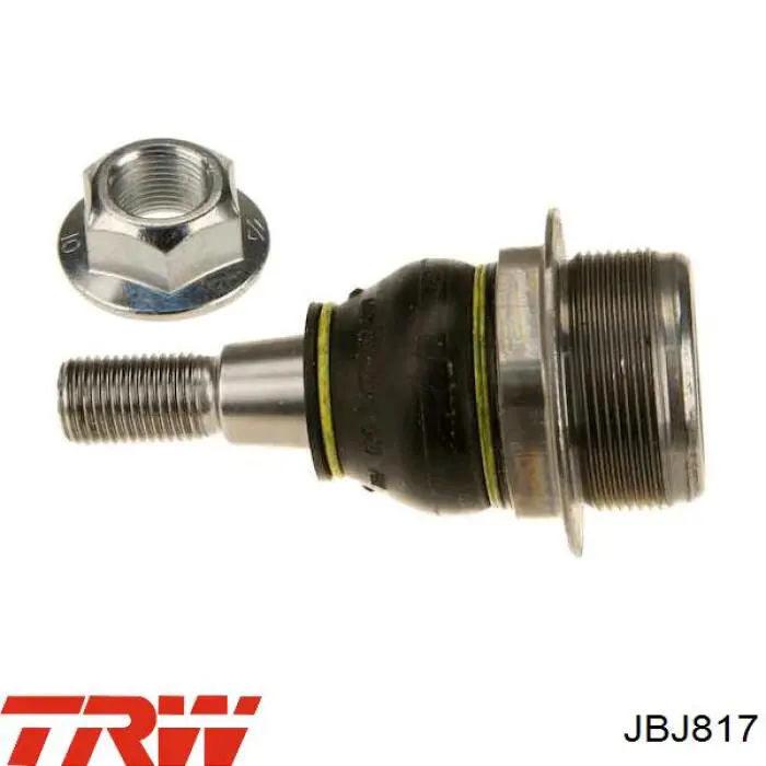 Compre JBJ817 TRW Suporte de esfera inferior esquerdo