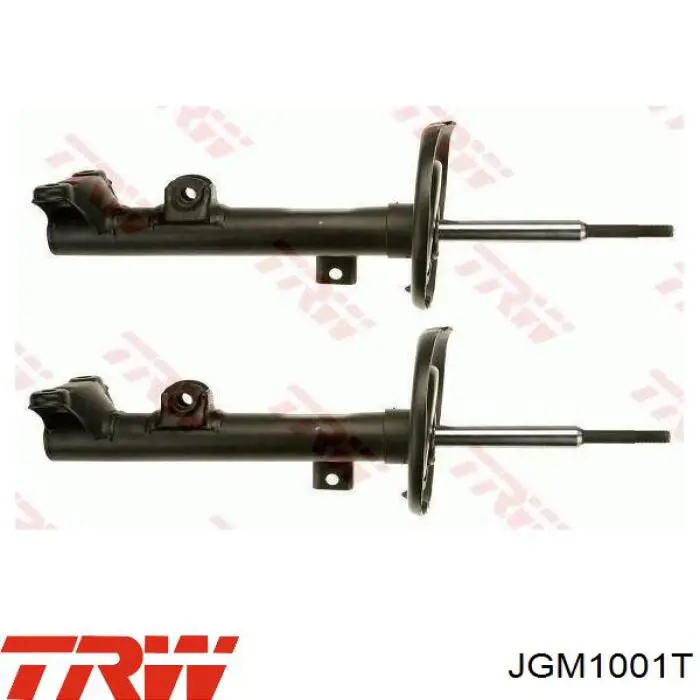Compre JGM1001T TRW Amortecedor dianteiro