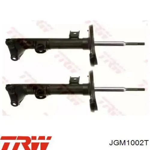 Compre JGM1002T TRW Amortecedor dianteiro