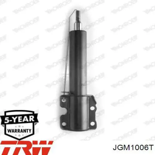 Compre JGM1006T TRW Amortecedor dianteiro