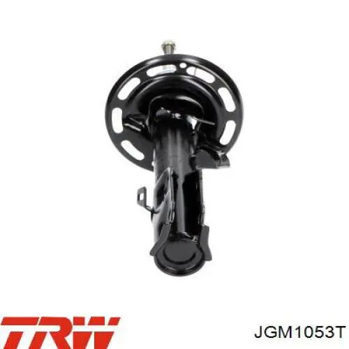 Compre JGM1053T TRW Amortecedor dianteiro direito