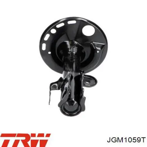 Compre JGM1059T TRW Amortecedor dianteiro direito