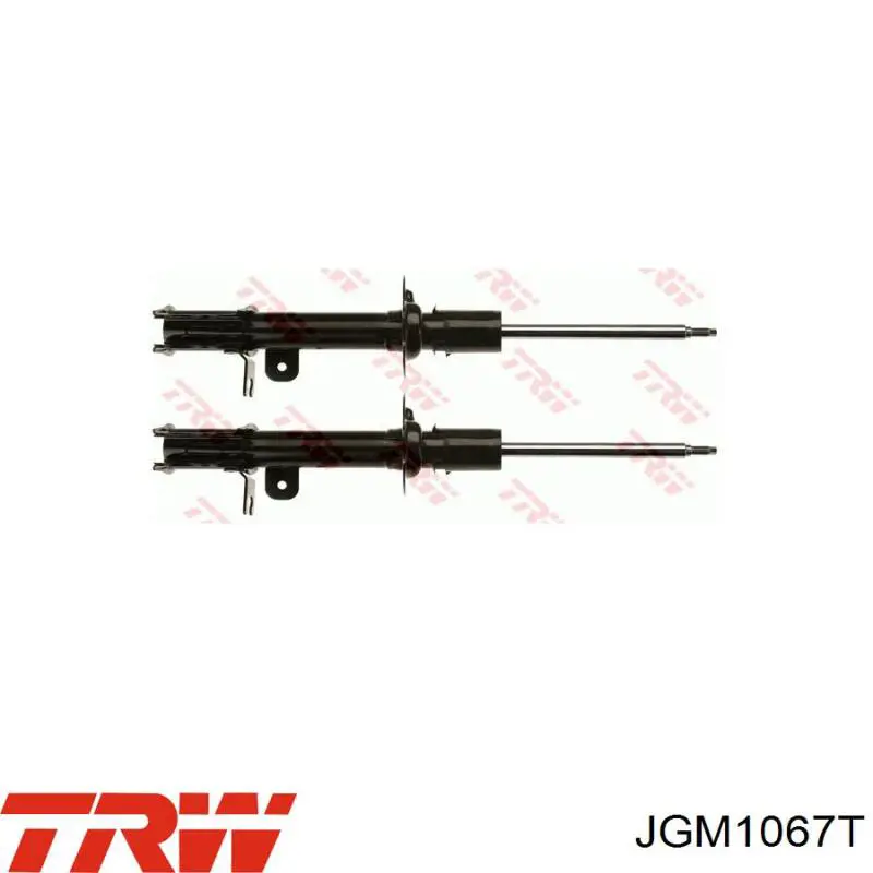 Compre JGM1067T TRW Amortecedor traseiro direito