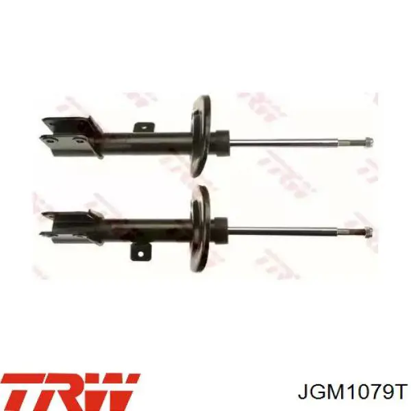 Compre JGM1079T TRW Amortecedor dianteiro