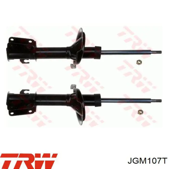 Compre JGM107T TRW Amortecedor dianteiro